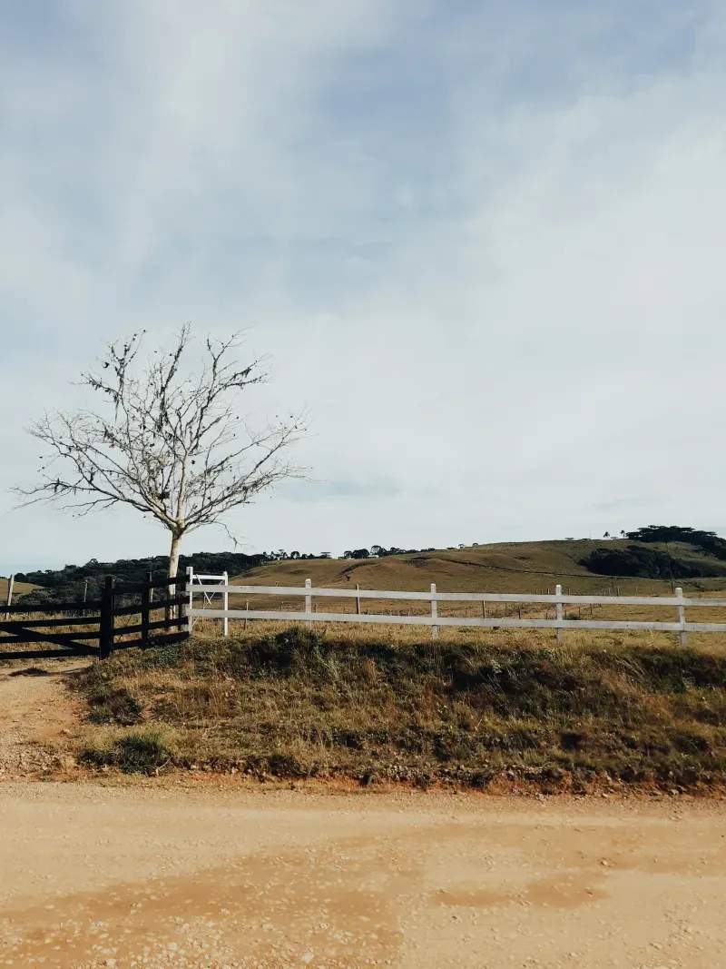 Sierra Verde Rural