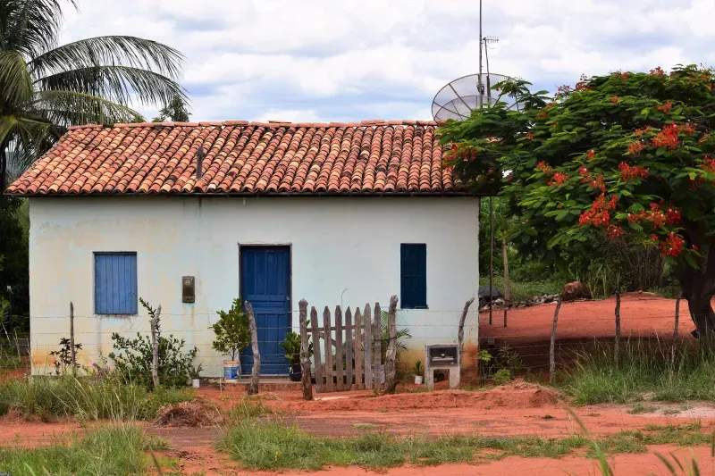 Mantenimiento de fincas y parcelas rurales