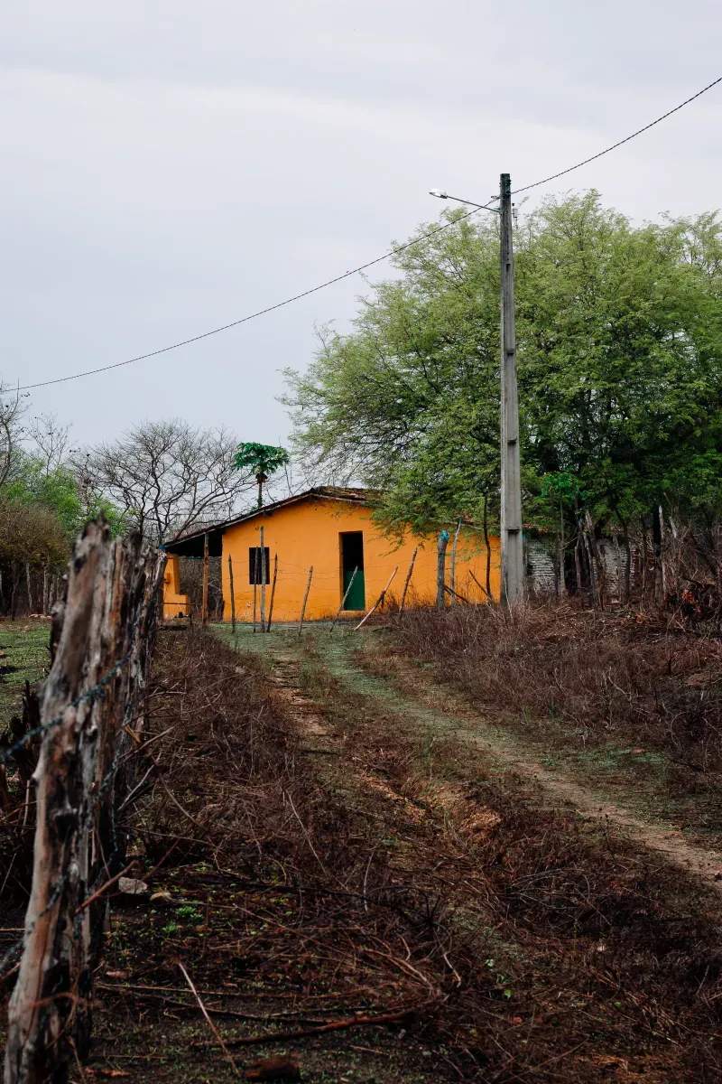 Gestión de caminos y accesos agrícolas